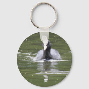 Coot Swimming Keychain