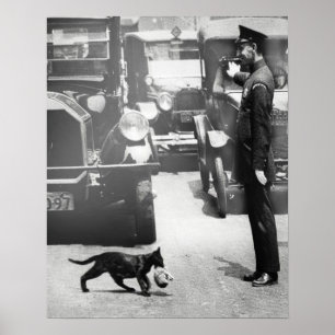 Cop Stops Traffic for Mama Cat Poster