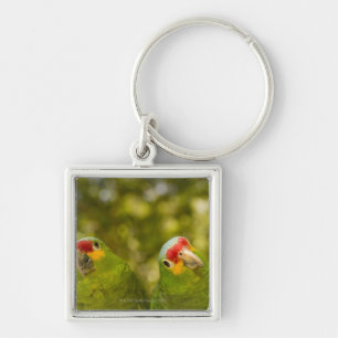 Copan, Honduras Key Ring