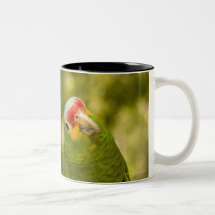 Copan, Honduras Two-Tone Coffee Mug