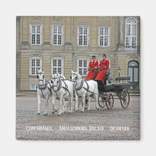 Copenhagen/Amalienborg Palace Magnet! Magnet