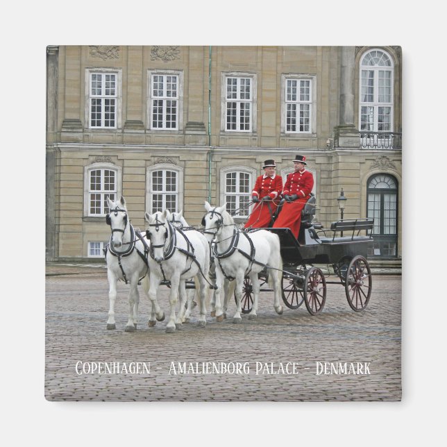 Copenhagen/Amalienborg Palace Magnet! Magnet (Front)