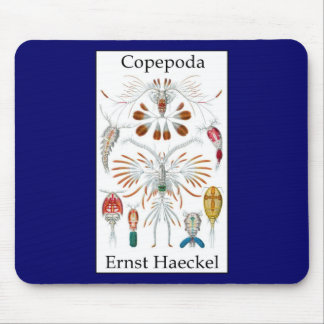 Copepoda by Ernst Haeckel Mouse Mat