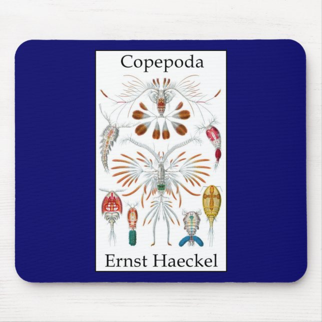 Copepoda by Ernst Haeckel Mouse Mat (Front)
