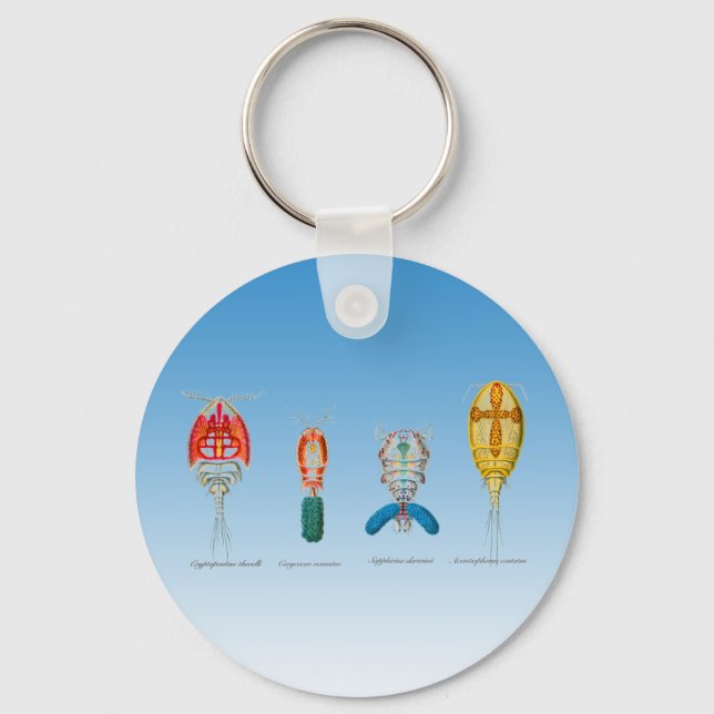 Copepods Key Ring (Front)