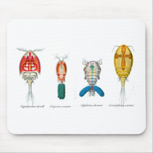 Copepods Mouse Mat