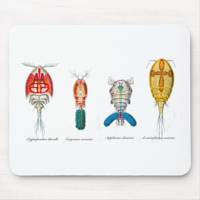 Copepods Mouse Mat (Front)