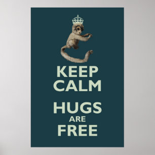 Copernicus-the-homicidal-monkey poster