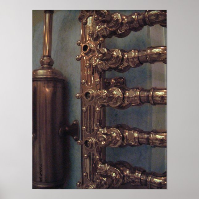 Copper Beauties Poster (Front)