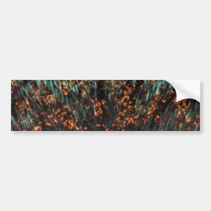 Copper Borealis Bumper Sticker