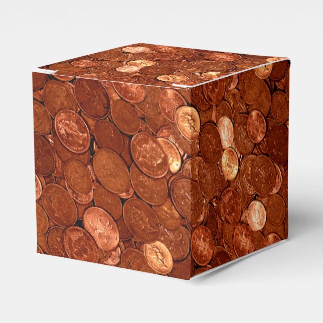 Copper Coins Novelty Money Personal Favour Box (Front Side)