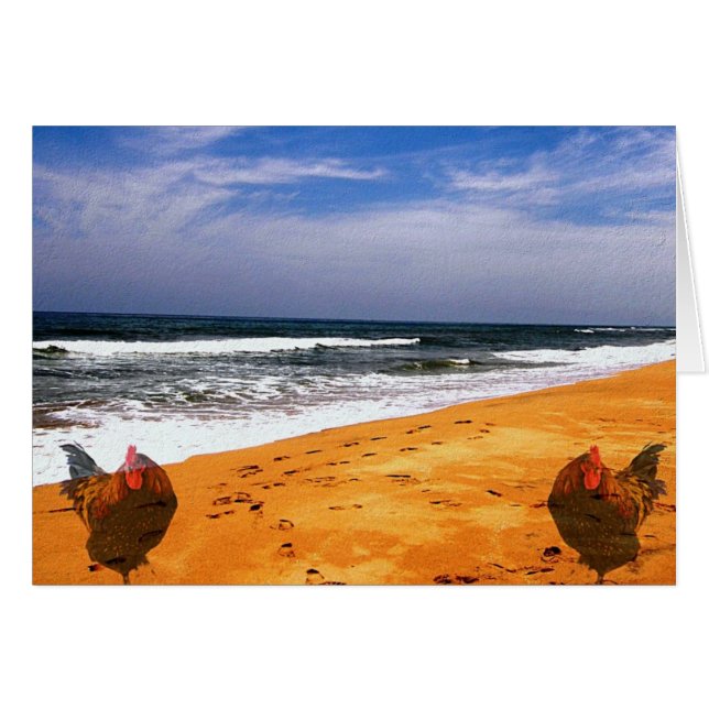 Copper Goes To the Beach (Front Horizontal)