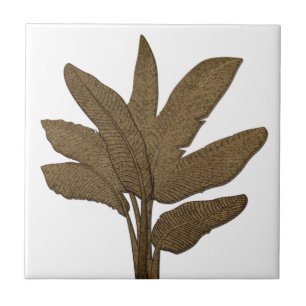 Copper Look Banana Plant Leaves White Tile