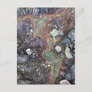 Copper New Zealand Postcard