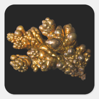 Copper Photo on Black Square Sticker