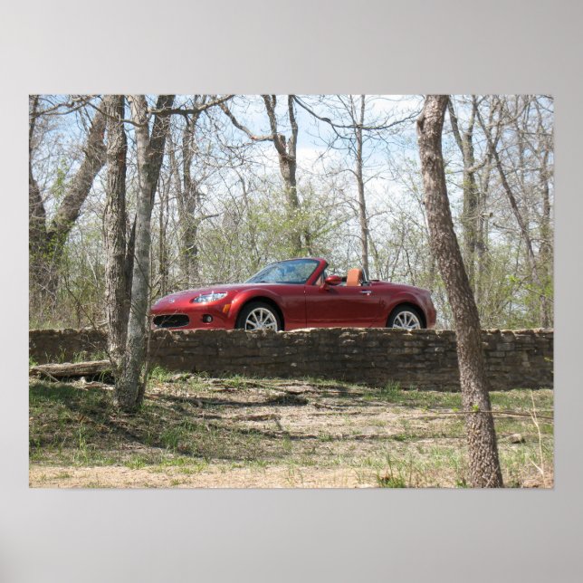 Copper Red Poster (Front)