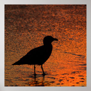 Copper Sunset Poster