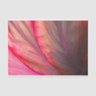 Copper Ti Plant Tissue Paper
