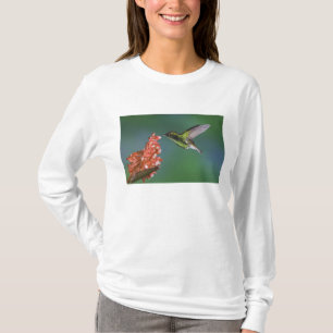 Coppery-headed Emerald, Elvira cupreiceps, T-Shirt
