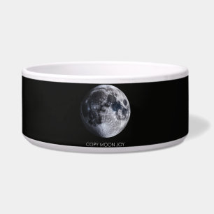 Copy Moon Joy