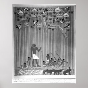 Copy of Egyptian painted relief depicting Fishing Poster