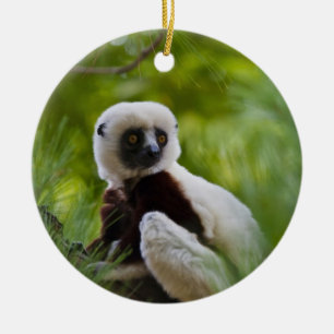 Coquerel's Sifaka in the forest 2 Ceramic Tree Decoration