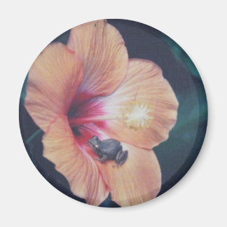 COQUI MAGNET