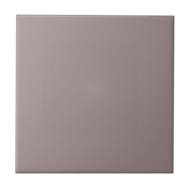 Coquina Shell Purple Square Kitchen and Bathroom Tile (Front)