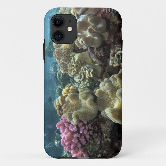 Coral, Agincourt Reef, Great Barrier Reef, Case-Mate iPhone Case (Back)