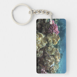 Coral, Agincourt Reef, Great Barrier Reef, Key Ring