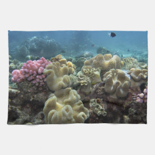 Coral, Agincourt Reef, Great Barrier Reef, Tea Towel