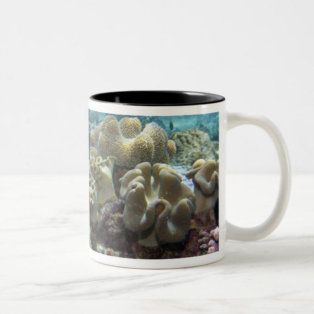 Coral, Agincourt Reef, Great Barrier Reef, Two-Tone Coffee Mug (Right)