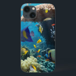 Coral and fish in the Red Sea, Egypt iPhone 13 Case<br><div class="desc">Coral and fish in the Red Sea.Egypt © and ® Bigstock® - All Rights Reserved.</div>