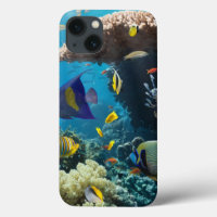 Coral and fish in the Red Sea, Egypt