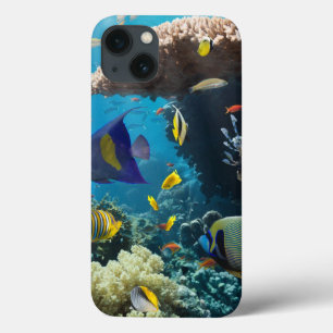 Coral and fish in the Red Sea, Egypt iPhone 13 Case