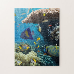 Coral and fish in the Red Sea, Egypt Jigsaw Puzzle