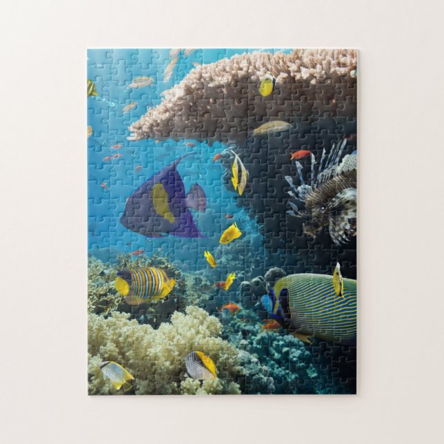 Coral and fish in the Red Sea, Egypt Jigsaw Puzzle (Vertical)