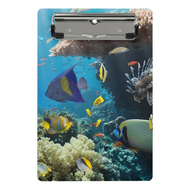 Coral and fish in the Red Sea, Egypt Mini Clipboard (Front)