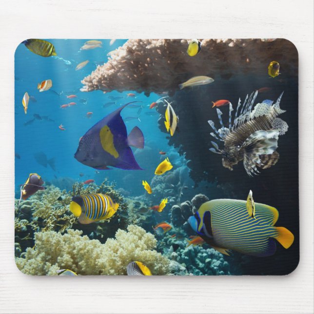Coral and fish in the Red Sea, Egypt Mouse Mat (Front)