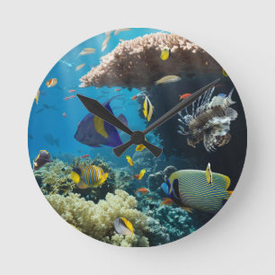 Coral and fish in the Red Sea, Egypt Round Clock