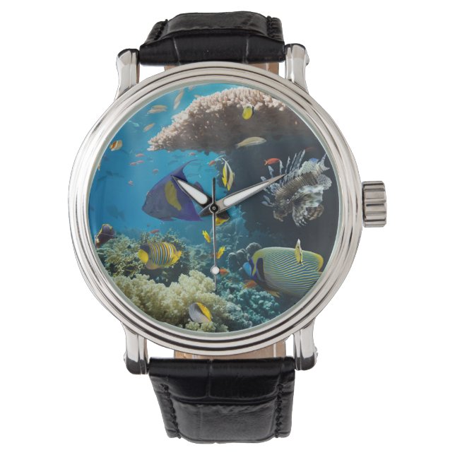 Coral and fish in the Red Sea, Egypt Watch (Front)