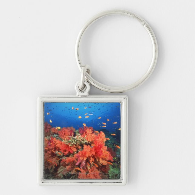 Coral and fish key ring (Front)