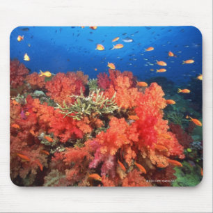 Coral and fish mouse mat