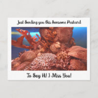 Coral and Sting Ray "I Miss YOU" Saying Hi