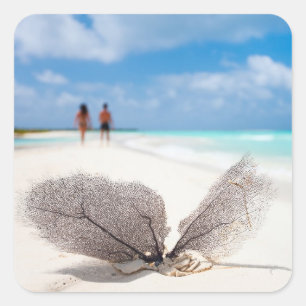 Coral branch at the beach square sticker