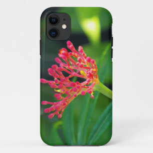 Coral Bush in bloom iPhone 11 Case