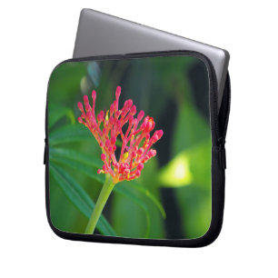 Coral Bush in bloom Laptop Sleeve