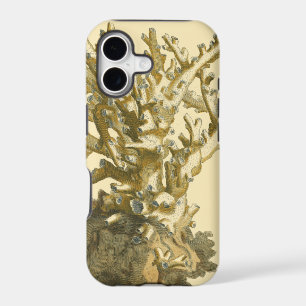 Coral by the Sea