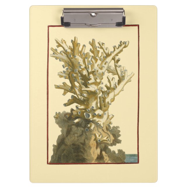 Coral by the Sea Clipboard (Front)
