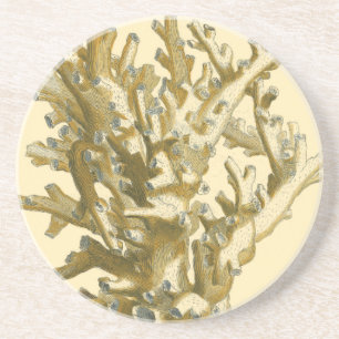 Coral by the Sea Coaster